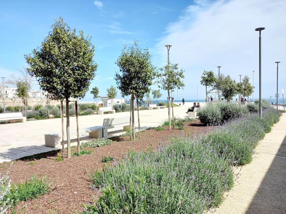 Heart In Home - Vicina Alle Spiagge Di Monopoli Exterior foto